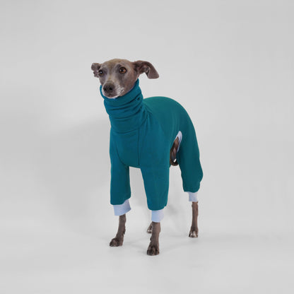 Italian Greyhound standing in deep teal dog onesie with blue ribbing made from OEKO-TEX certified fabrics by LE PUP.