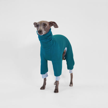 Italian Greyhound in a teal dog onesie with blue ribbing made from OEKO-TEX certified fabrics by LE PUP.