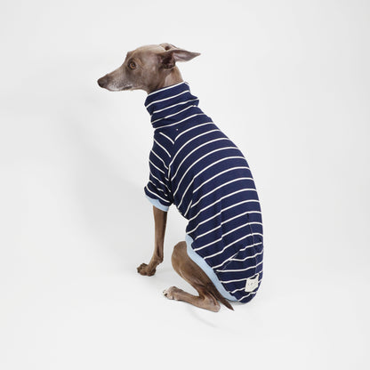 Back view of Whippet wearing soft dog jumper with short sleeves in navy blue by LE PUP.