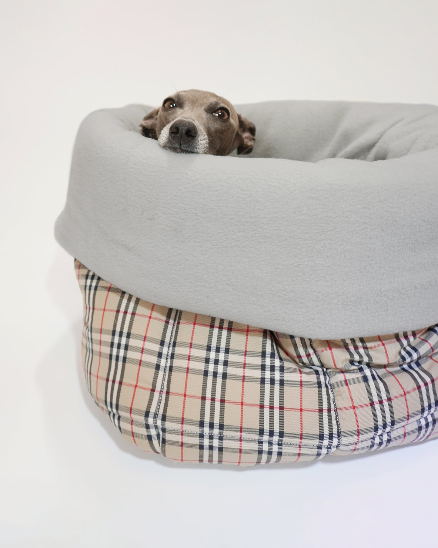 Cute Italian greyhound peeping from portable dog snuggle sack in tartan fabric, perfect as a dog car bed by LE PUP.