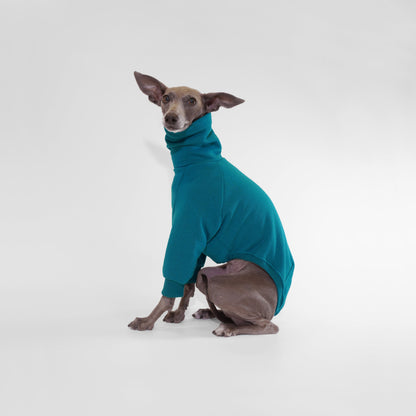 Italian Greyhound sitting and wearing deep teal dog jumper made from OEKO-TEX certified fabrics by LE PUP.