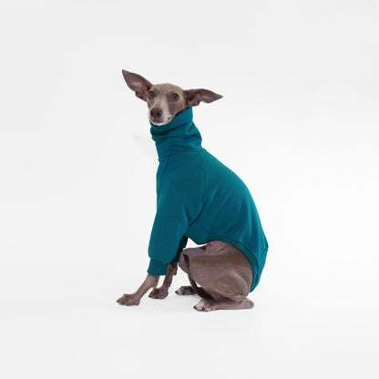 Italian greyhound wearing Oeko Tek sweatshirt onesie in deep teal