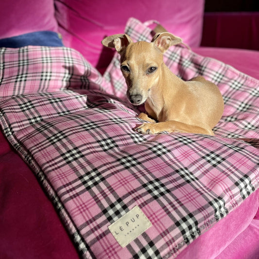 Fawn Italian Greyhound resting on a tartan pink luxurious travel dog mat by LE PUP.