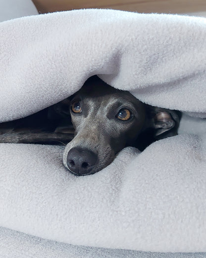 LÈ SAC Dog Snuggle Bed – Dogtooth