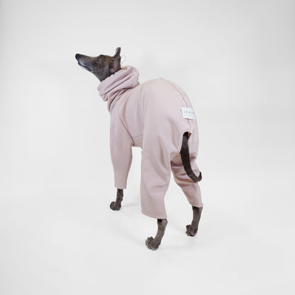 back shot of Italian greyhound dog wearing oatmeal custom raincoat