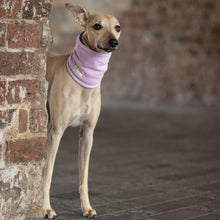 Load image into Gallery viewer, LÈ SNOOD - Dog Snood (Lilac)
