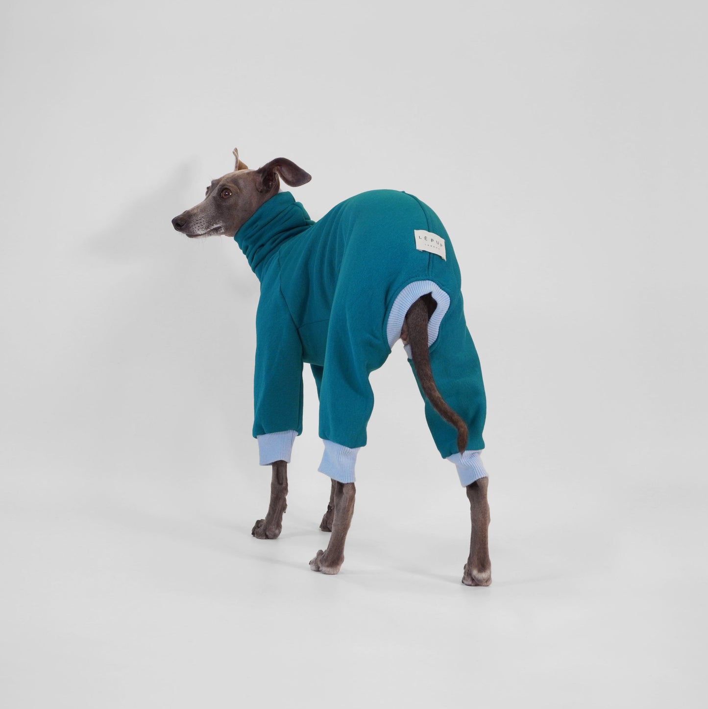 Side standing Italian Greyhound in warm deep teal dog onesie with light blue ribbing made from OEKO-TEX certified fabrics by LE PUP.
