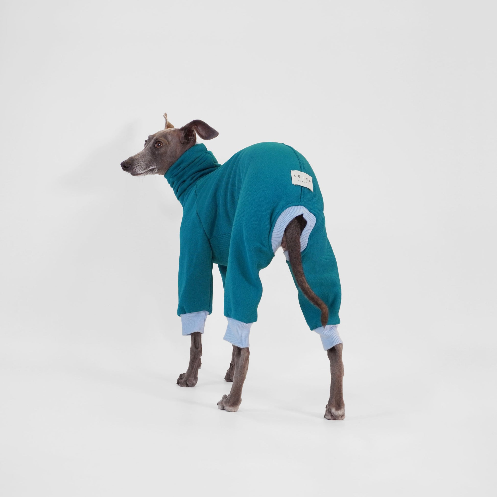 Italian Greyhound wearing deep teal dog jumper made from OEKO-TEX certified fabrics by LE PUP.