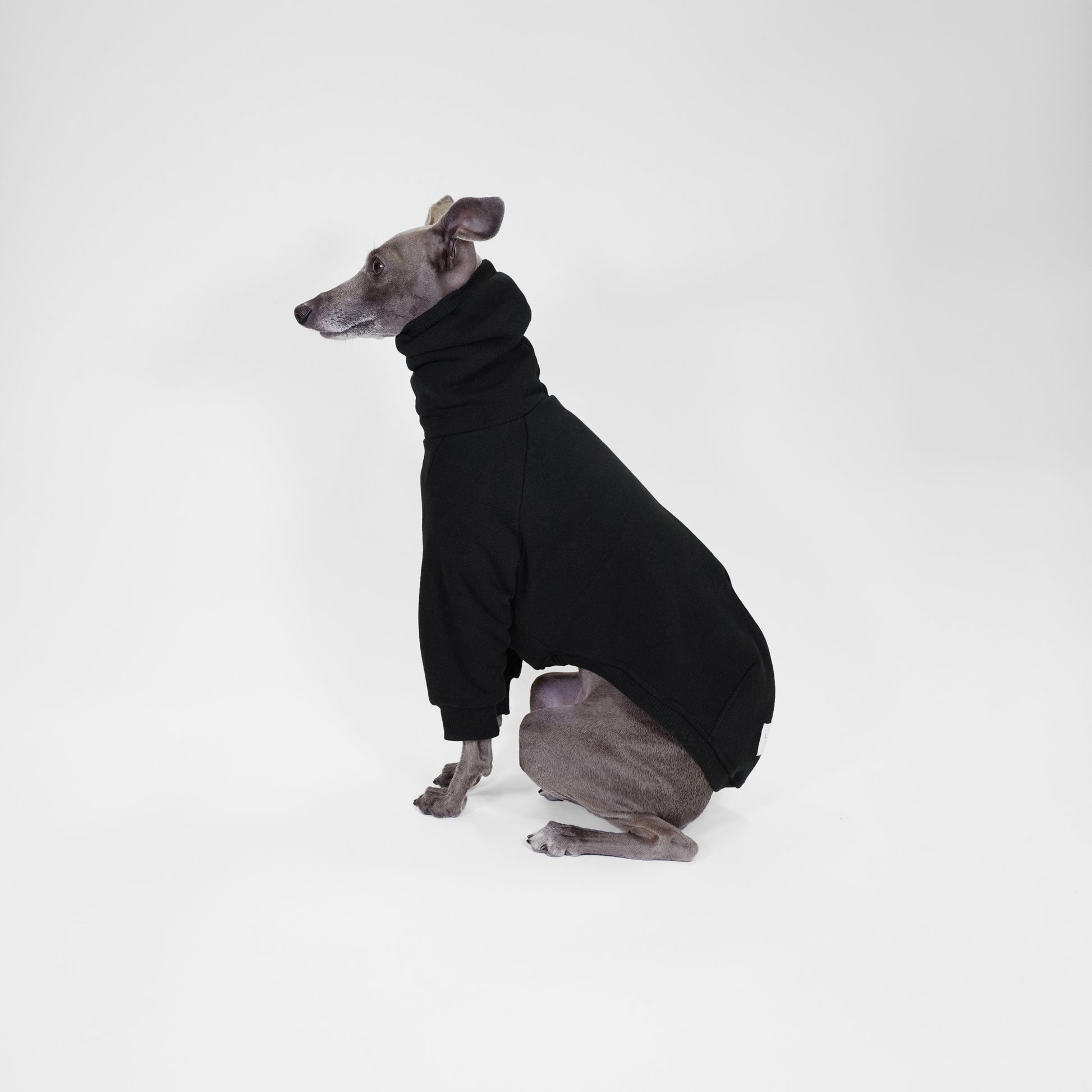 Side profile of Italian Greyhound wearing black dog jumper made from OEKO-TEX certified fabrics by LE PUP.