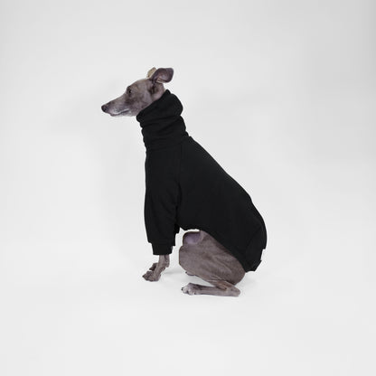 Side profile of Italian Greyhound wearing black dog jumper made from OEKO-TEX certified fabrics by LE PUP.