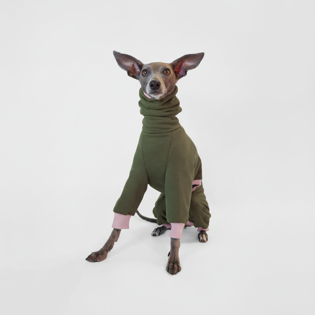 Italian Greyhound wearing olive green fleece onesie with pink cuffs by LÈ PUP