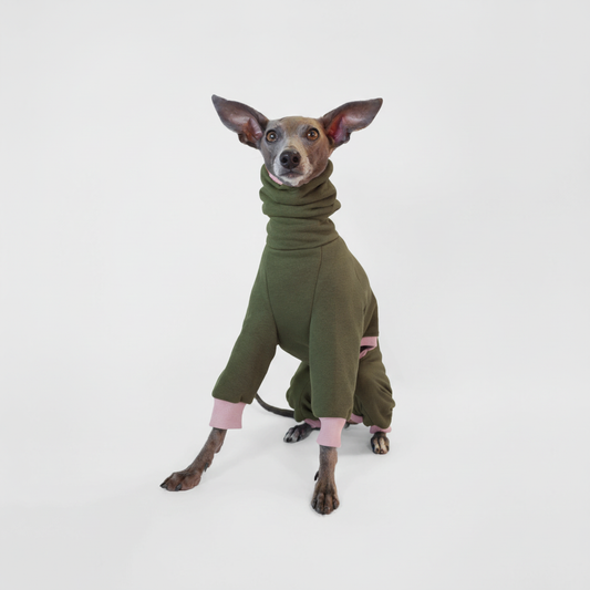 Italian Greyhound wearing olive green fleece onesie with pink cuffs by LÈ PUP