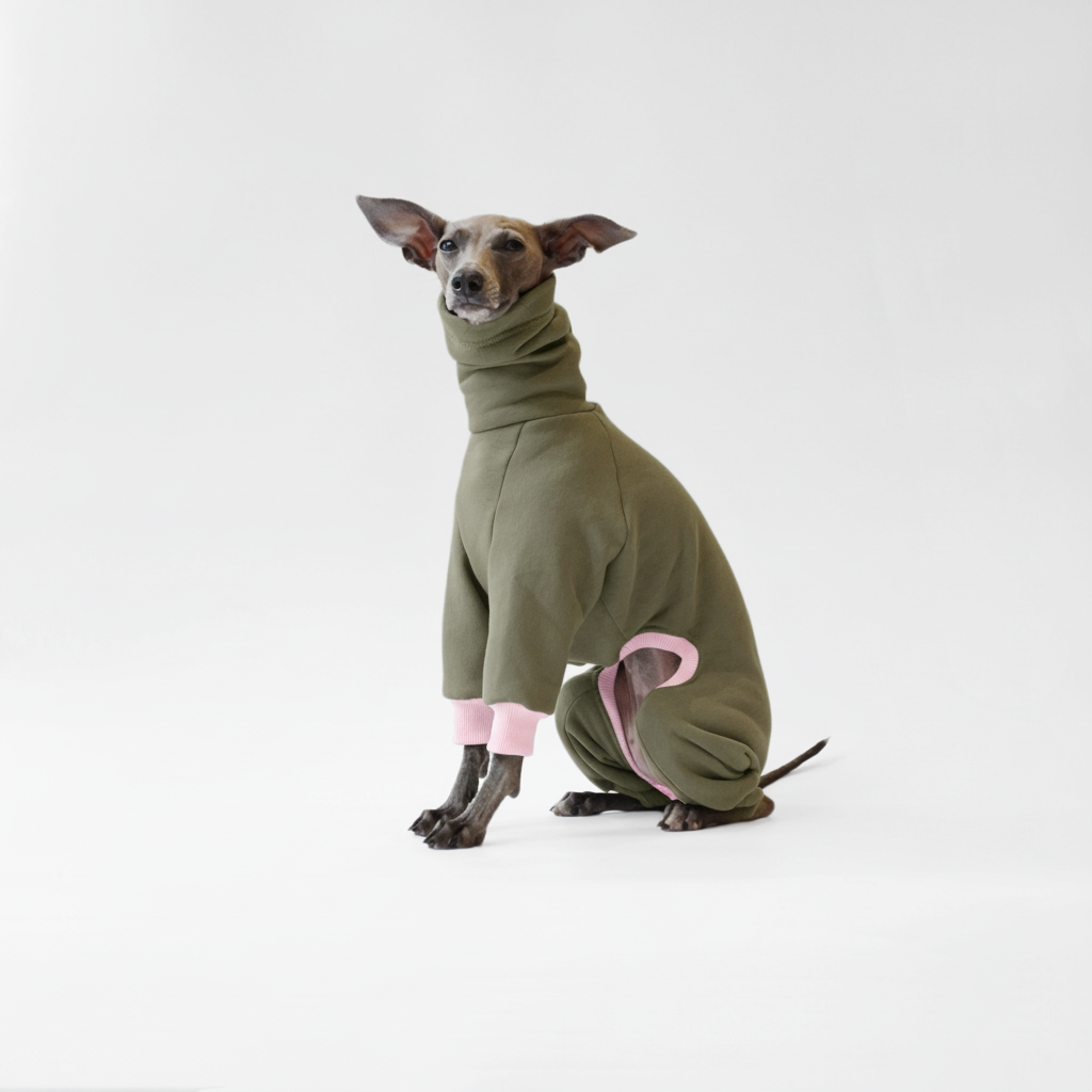Olive green dog onesie with pink ribbed cuffs for Italian Greyhounds and Whippets