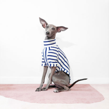 Handmade Italian Greyhound and whippet dog tops made from 100% organic cotton by LE PUP.