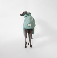 Load image into Gallery viewer, LÈ PUP waterproof sighthound raincoat in sage

