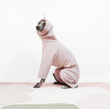 Load image into Gallery viewer, Italian Greyhound sitting wearing a hooded beige waterproof dog raincoat
