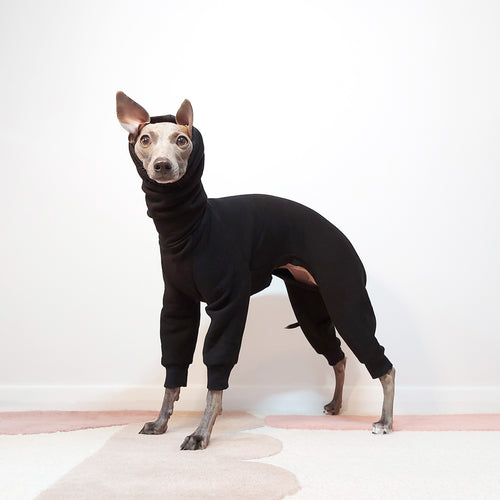 Luxury Italian Greyhound Black Sweatshirt By Le Pup London