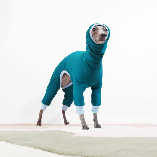 Italian Greyhound ready for winter in a teal dog onesie with blue ribbing made from OEKO-TEX fabrics by LE PUP.