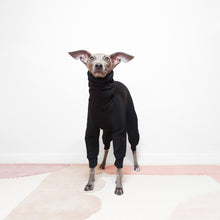 Load image into Gallery viewer, Eco-Friendly Italian Greyhound And Whippet Oeko-Tex Black Dog Onesie by Le Pup
