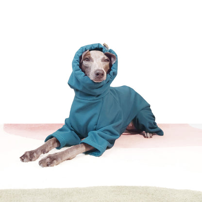 Italian Greyhound sitting with hood on in teal dog coat with legs waterproof dog rainsuit by LE PUP.