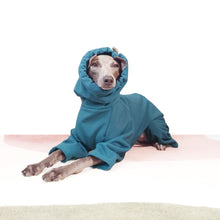 Load image into Gallery viewer, Italian Greyhound sitting in Le Pup&#39;s Teal dog coat with legs
