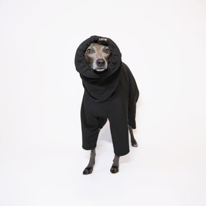 Standing shot of Italian greyhound dog wearing warm waterproof raincoat with hood up by LE PUP.