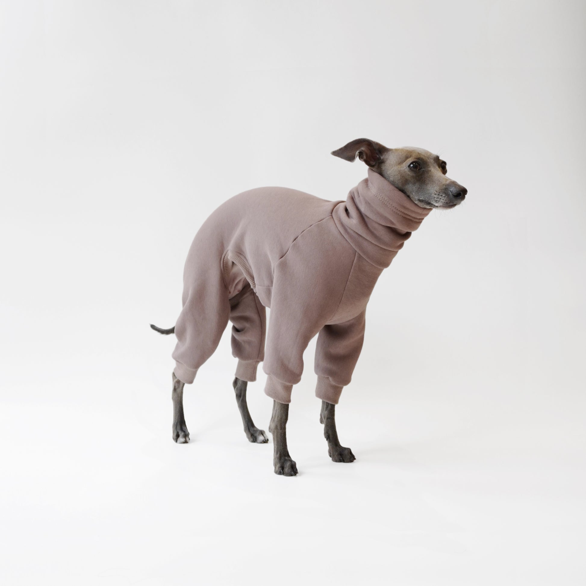 Side view of whippet wearing warm custom made dog onesie with long neck for extra warmth by LE PUP.