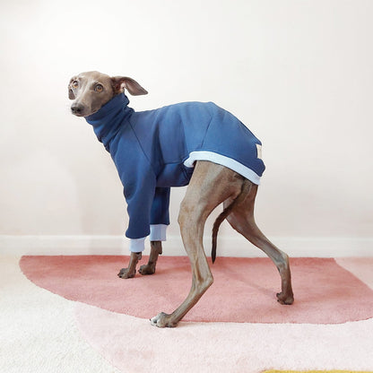 Cute Italian greyhound wearing a sustainable Oeko-Tex Navy blue sweatshirt for dogs by LE PUP.