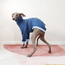 Load image into Gallery viewer, cute italian greyhound wearing a sustainable oeko tex sweatshirt for dogs by Le Pup
