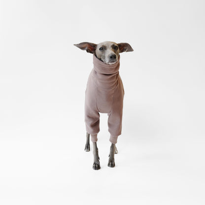 Italian greyhound wearing perfectly fitted dog jumper in colour cappuccino and made with eco-friendly materials by LE PUP.