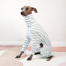Load image into Gallery viewer, Italian Greyhound wearing a blue GOTS certified organic cotton dog onesie by Le Pup London
