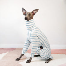 Load image into Gallery viewer, Made-to-measure blue striped 100% organic cotton sighthound dog clothing by Le Pup London
