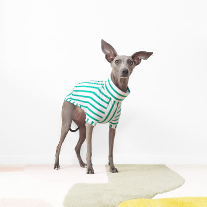 PETIT POIS - Organic Dog T-Shirt (GOTS)