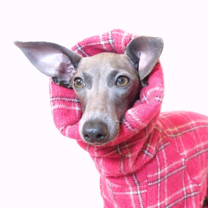 Italian Greyhound headshot wearing Le Pup dog jumpsuit