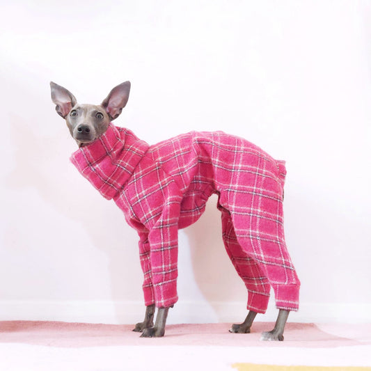 Italian Greyhound standing sideways wearing custom fitted pink plaid warm wool onesie with back legs by LE PUP.