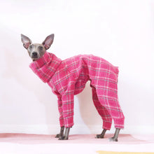 Load image into Gallery viewer, Italian Greyhound standing in a Le Pup dog jumpsuit
