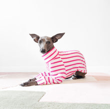 Load image into Gallery viewer, Turtle neck pink stripe organic cotton dog jumper by Le Pup

