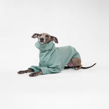 Load image into Gallery viewer, Tofu the Italian Greyhound sitting in a sage LÈ PUP dog coat
