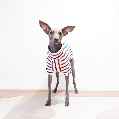 Handmade Italian Greyhound and whippet clothing for dogs made from 100% certified organic cotton by Le Pup