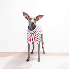 Load image into Gallery viewer, Handmade Italian Greyhound and whippet clothing for dogs made from 100% certified organic cotton by Le Pup
