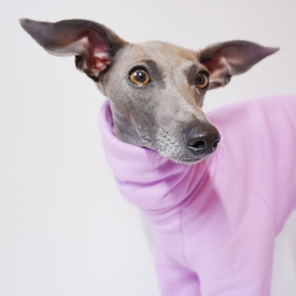 Head shot of Italian greyhound onesie made by LE PUP in London.