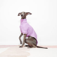 Load image into Gallery viewer, Cute Italian greyhound wearing a handmade lilac dog t-shirt by Le Pup
