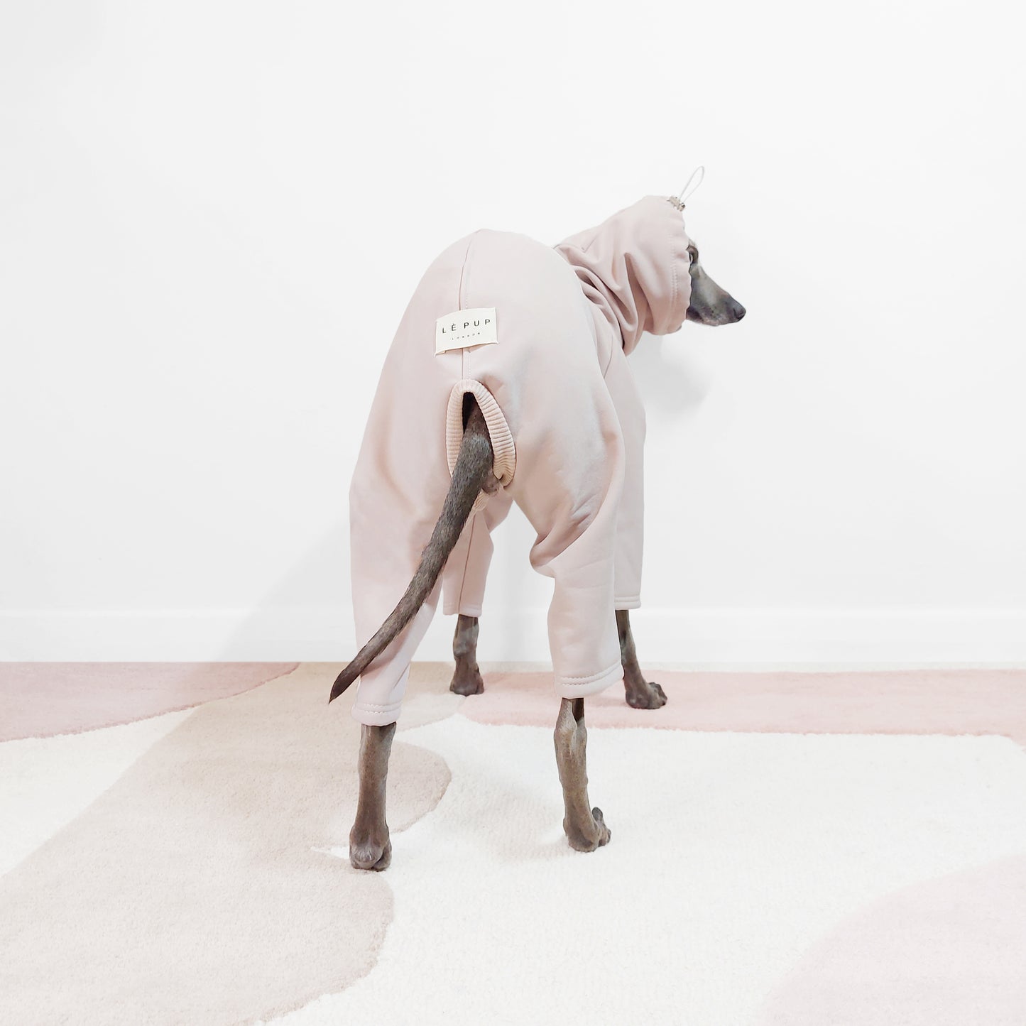 Cute Italian greyhound and whippet waterproof dog coat with collar hole by LE PUP