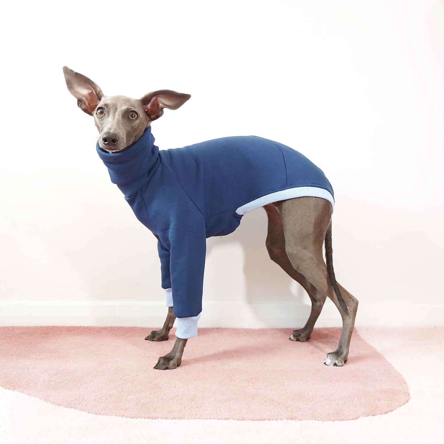 Italian Greyhound and whippet jumper for dogs made from eco-friendly Oeko-Tex sweatshirt by LE PUP.