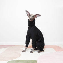 Load image into Gallery viewer, Tofu the Italian Greyhound Sitting in a Black Le Pup MOCHI Dog Onesie
