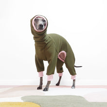 Load image into Gallery viewer, Tofu the Italian Greyhound in a Le Pup UME Dog Onesie with the snood over her head
