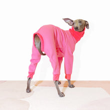 Load image into Gallery viewer, Rear view photo of tofu the italian greyhound wearing pink dog jumpsuit by Le Pup
