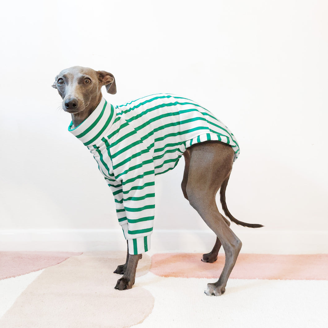 Sighthound standing sideways wearing organic cotton green stripe t-shirt