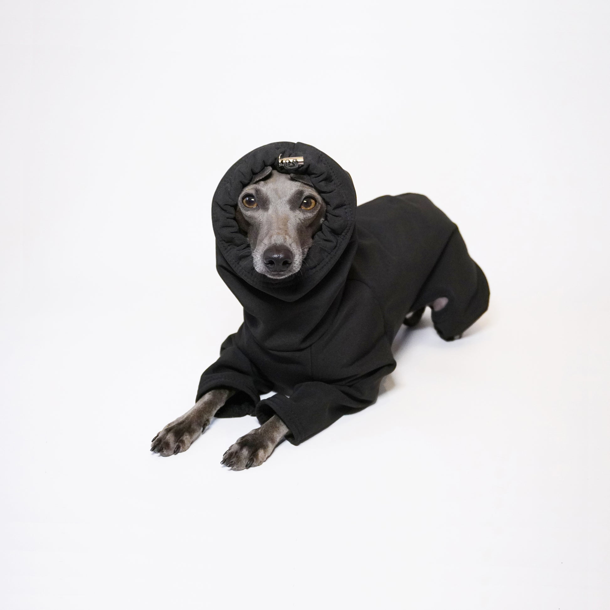 Italian greyhound laying down wearing waterproof dog coat with hood up by LE PUP.