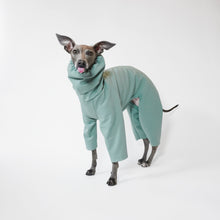 Load image into Gallery viewer, Italian greyhound and whippet sage waterproof dog coat by LE PUP
